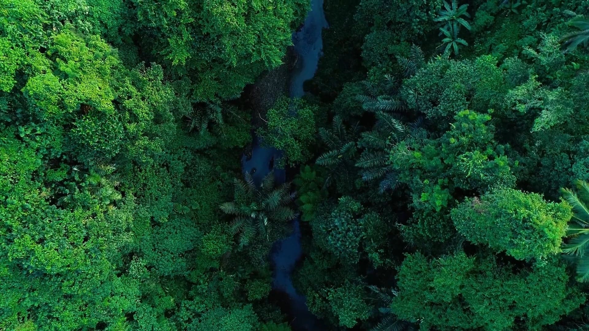 Service Optimized Supply Chain Management